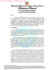 Vista preliminar de documento Resolución Rectoral