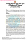Vista preliminar de documento Resolución Rectoral