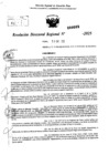 Vista preliminar de documento RDR 0089-2025