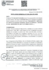Vista preliminar de documento RGDU 154-2024