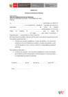 Vista preliminar de documento Anexos