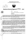 Vista preliminar de documento RDR 0094-2025