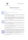 Vista preliminar de documento RD Nº 39-2025-DG-INSM HD-HN