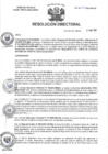 Vista preliminar de documento R.D N° 050-2025-HMA-DG