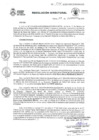 Vista preliminar de documento RD115-2025GRC/DIRESA/DG