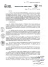 Vista preliminar de documento RD110-2025GRC/DIRESA/DG