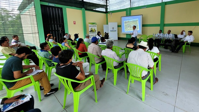 Pech Capacita A 27 Agricultores De Chepén En Prácticas Innovadoras Para El Desarrollo Agrícola