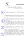 Vista preliminar de documento RD Nº 41-2025-DG-INSM HD-HN