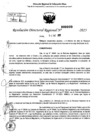 Vista preliminar de documento RDR 0099-2025