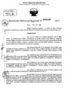 Vista preliminar de documento RDR 0100-2025
