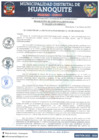 Vista preliminar de documento RGM 036