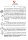 Vista preliminar de documento RDR N°167-2025-05-03-2025
