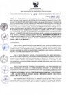 Vista preliminar de documento RDR N°169-2025-05-03-2025