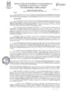 Vista preliminar de documento RESOLUCION N°11-2025-SGDELC-GDESGA-MDP-T