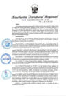 Vista preliminar de documento RDR-111-2025