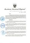 Vista preliminar de documento RDR-113-2025
