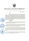 Vista preliminar de documento RDR-115-2025