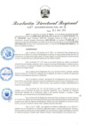 Vista preliminar de documento RDR-117-2025