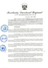 Vista preliminar de documento RDR-119-2025
