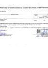 Vista preliminar de documento ANEXO Nª 6_APROBACION MCMN Nª 23