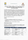 Vista preliminar de documento Acta de la I Sesión Ordinaria del Comité Distrital de Seguridad Ciudadana 2025 del Distrito de Villa el Salvador