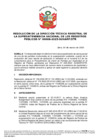 Vista preliminar de documento Resolución de la Dirección Técnica Registral de la Sunarp n.° 008-2025-SUNARP/DTR