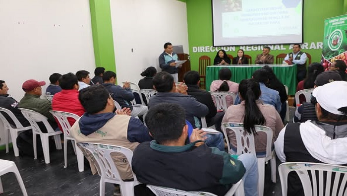 CURSO PAPA 2