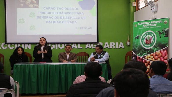 CURSO PAPA 4