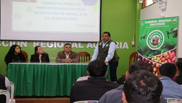 CURSO PAPA 5