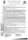 Vista preliminar de documento DEC-001-2025