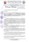 Vista preliminar de documento ORDENANZA MUNICIPAL PDTL