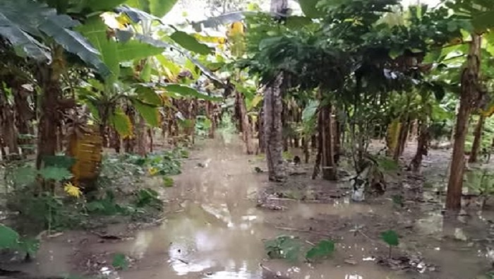 LLUVIAS CONDORCANQUI 1