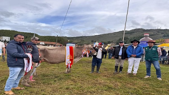 GANADO CÁSHAC 1