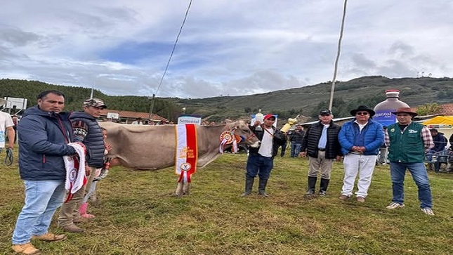 GANADO CÁSHAC 1