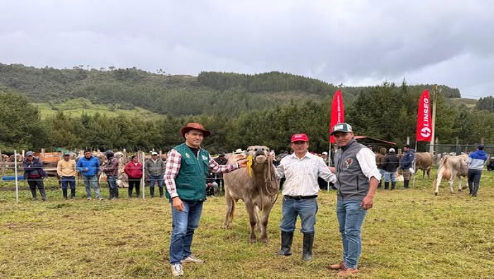 GANADO CÁSHAC 2