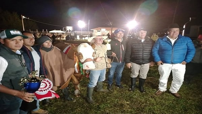 GANADO CÁSHAC 3