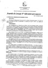 Vista preliminar de documento AC_029-2025-MPV-ORD/CM