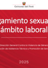 Vista preliminar de documento HOSTIGAMIENTO SEXUAL 2025