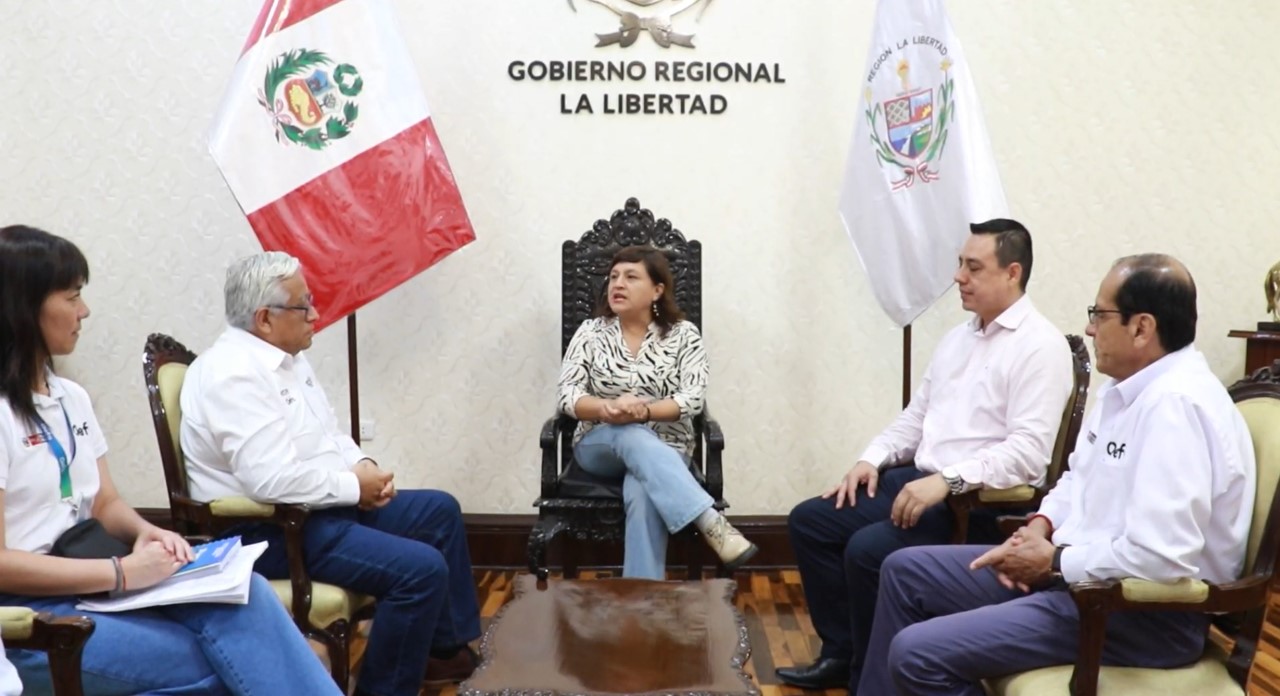 Imagen 1