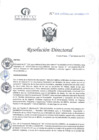 Vista preliminar de documento RD N°051-02-2025-DE-HCLLH-MINSA