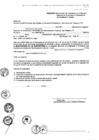 Vista preliminar de documento Renovación de Inscripción en el Registro Nacional de Empresas y Entidades de Intermediación Laboral