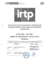 Vista preliminar de documento ISO-004-2024-IRTP-SST - Programa de Ergonomía Laboral