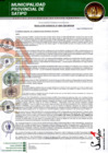 Vista preliminar de documento RESOLUCION GERENCIAL N° 00081-2025
