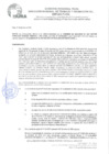 Vista preliminar de documento RESOLUCION DIRECTORAL Nº 004-2025-GRP-DRTPE-DPSC