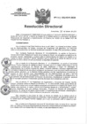 Vista preliminar de documento RD N°059-2025