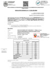 Vista preliminar de documento RGDU 171-2024