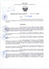 Vista preliminar de documento R.D N° 206-2025