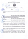 Vista preliminar de documento R.D N° 207-2025