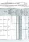 Vista preliminar de documento IPER Filiales