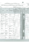 Vista preliminar de documento IPER GAF - Seguridad